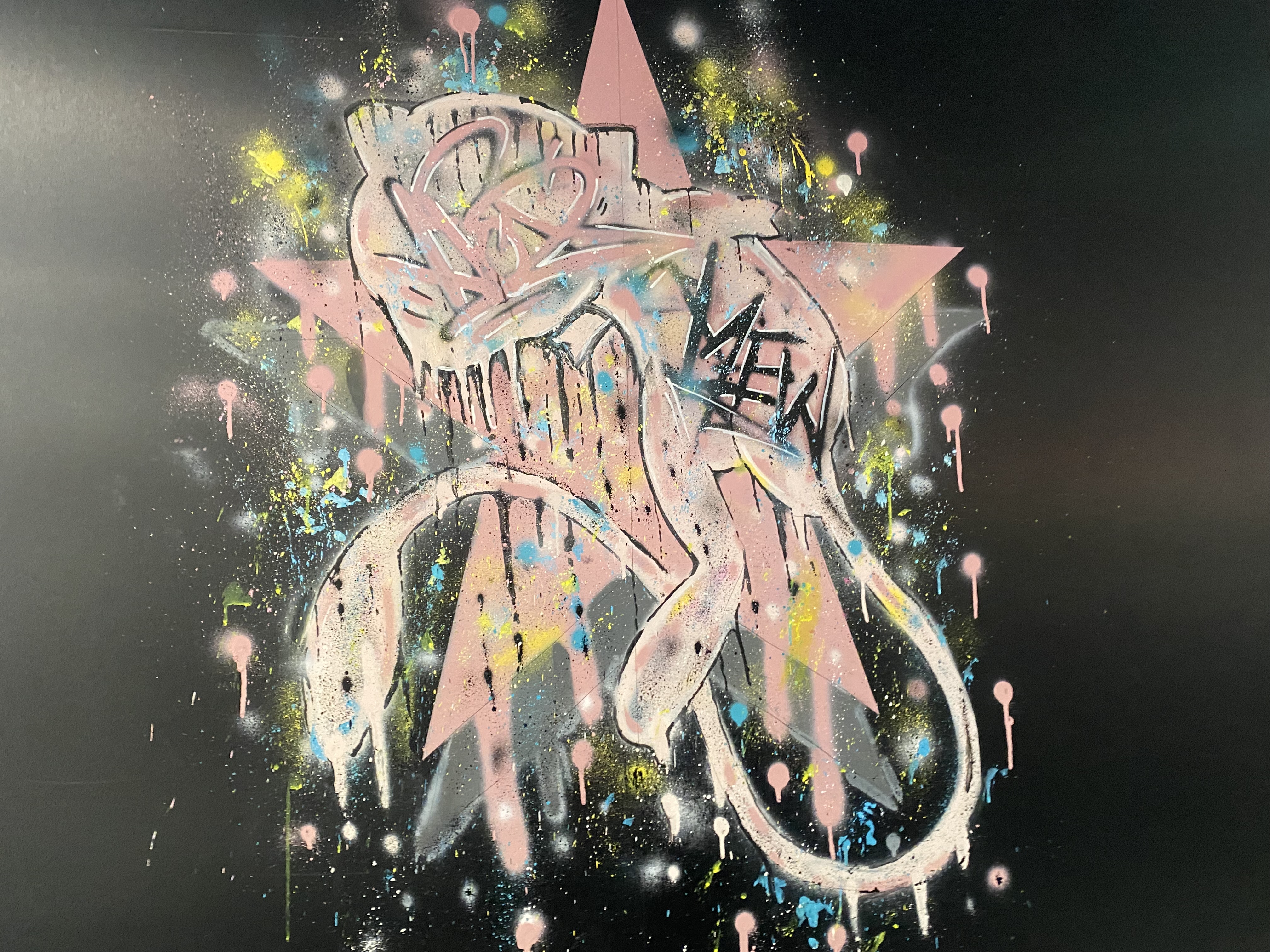Misato's Post